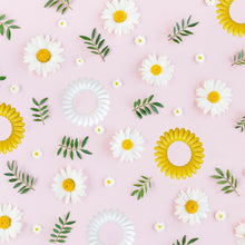 Load image into Gallery viewer, A pretty image showing white and yellow spirabobbles scattered with daisies on a pink background
