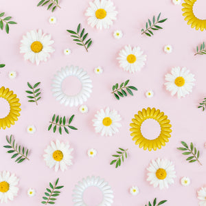 A pretty image showing white and yellow spirabobbles scattered with daisies on a pink background